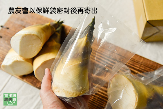 鮮甜筍香濃 有機綠竹筍