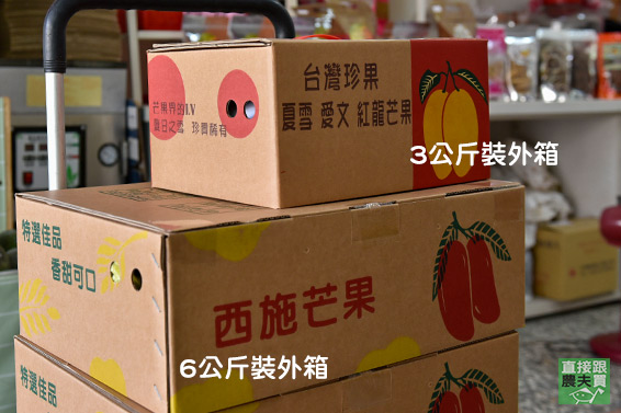細緻柔嫩 草生西施芒果