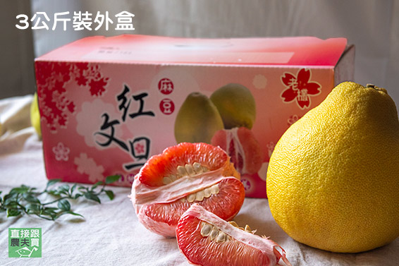 內行饕客必吃 麻豆紅文旦