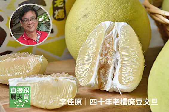 來場風味之旅！環島文旦禮盒