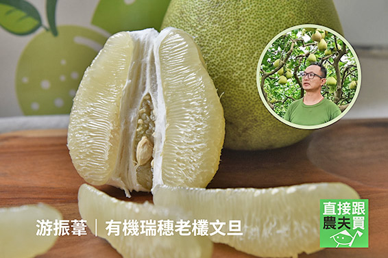 來場風味之旅！環島文旦禮盒