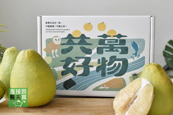 來場風味之旅！環島文旦禮盒
