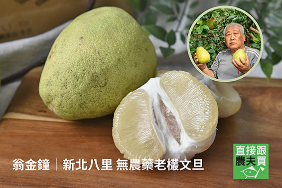 來場風味之旅！環島文旦禮盒