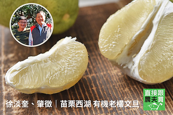 來場風味之旅！環島文旦禮盒