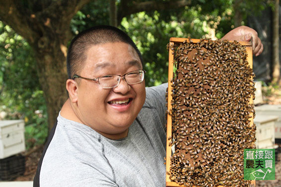 永續蜂產業！得獎純龍眼蜂蜜