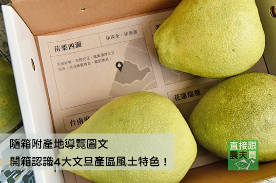 來場風味之旅！環島文旦禮盒