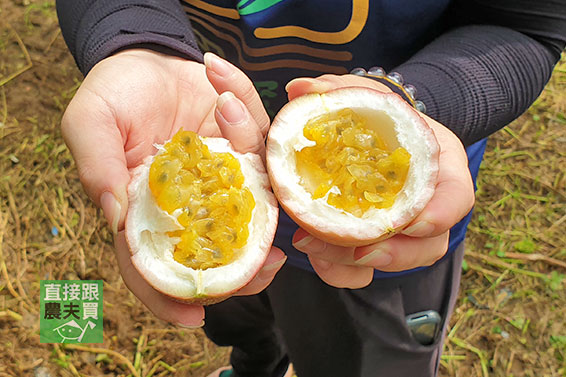 甜蜜雙饗 綜合百香果