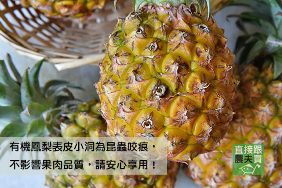 一餐恰恰好！有機五目金鑽鳳梨