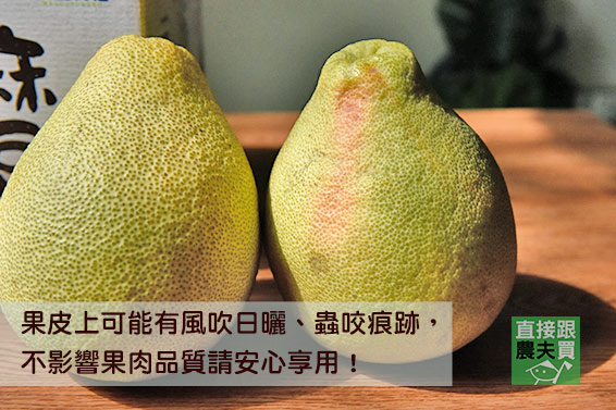 神農世家 麻豆紅文旦（紅柚）