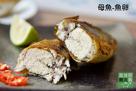 喝湧泉長大！宜蘭頂級香魚（公/母）