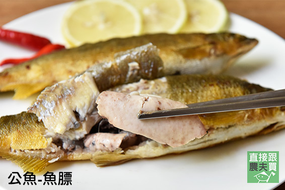 喝湧泉長大！宜蘭頂級香魚（公/母）