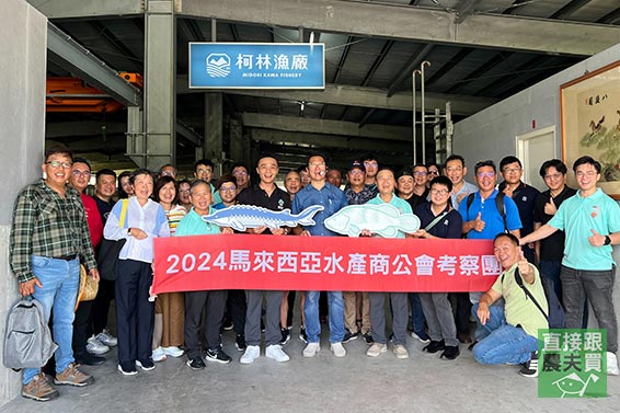 喝湧泉長大！宜蘭頂級香魚（公/母）