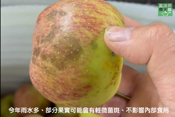 秋之紅 本土蜜蘋果「惠」