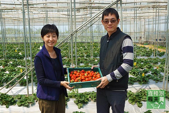 甜蜜三重奏 日系多品種有機草莓