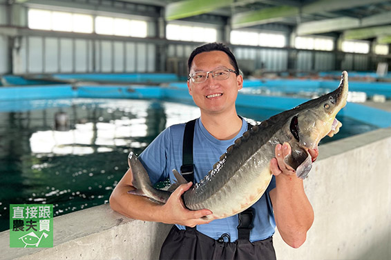 膠質Q彈！無刺鱘龍魚菲力（魚排）