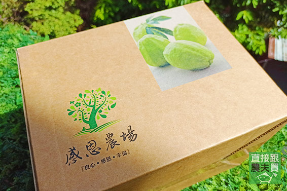 有機時令綜合芭樂箱（三種以上）