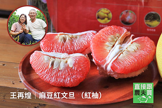 明星產區 紅白綜合文旦箱