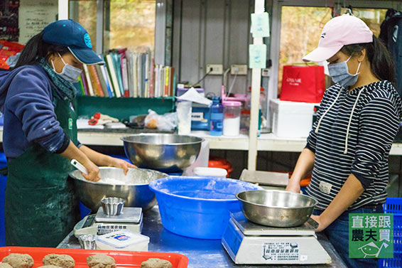 減糖少油 經典綜合蛋黃酥