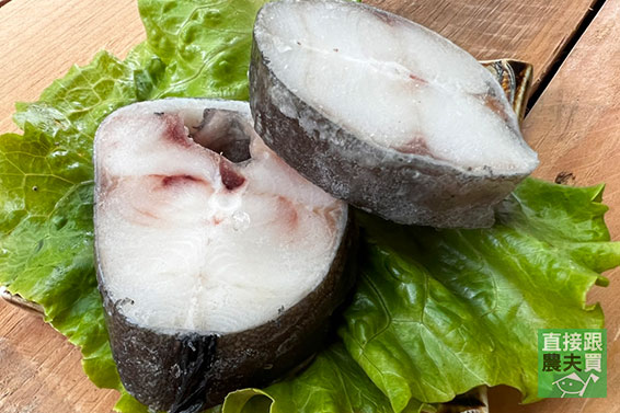 彈牙極品！阿拉斯加銀鱈（中段輪切）