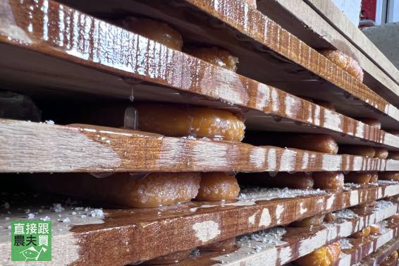 絲滑奶油感！頂級溏心烏魚子禮盒