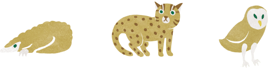 animal