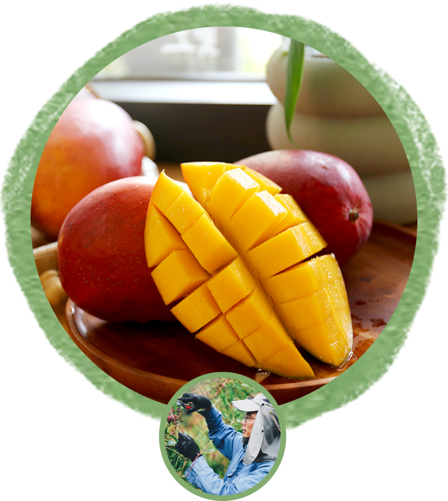 mango