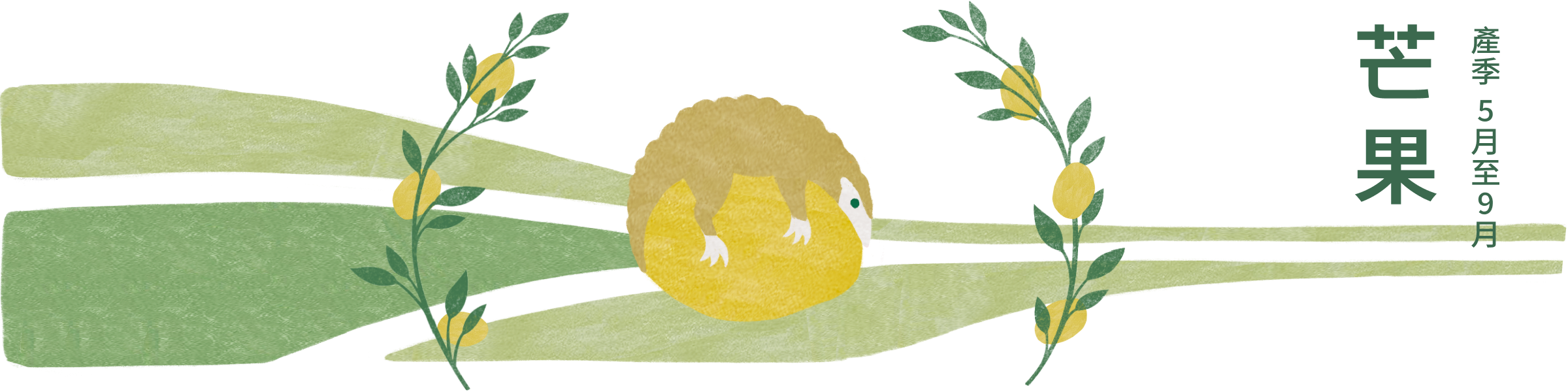 mango